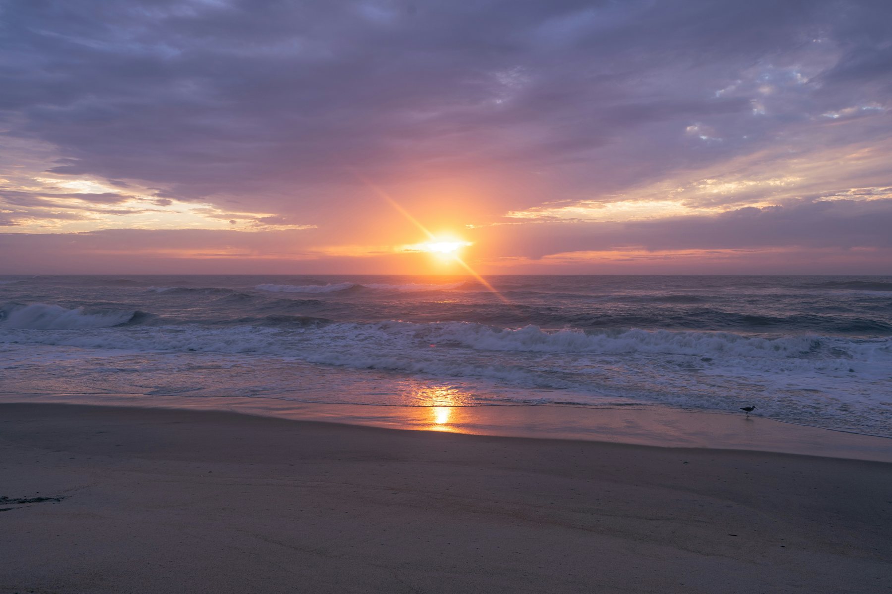 Empty Atlantic beach on Assateague Island