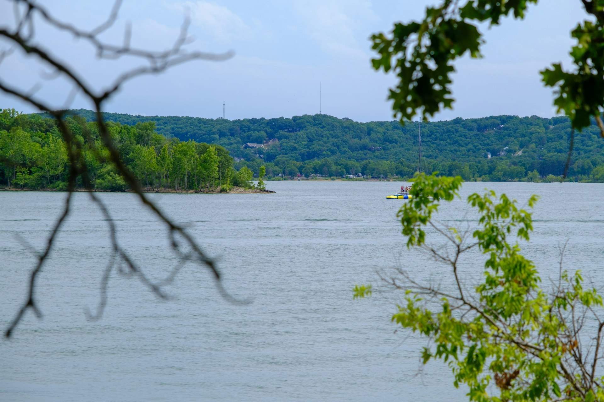 Wooded lakeshore in the Branson area of the Missouri Ozarks