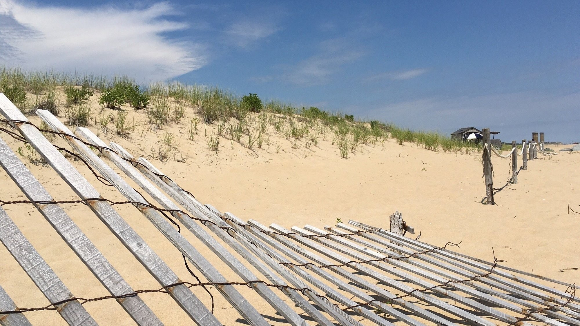 Beach and dunes at Cape Henlopen State Park