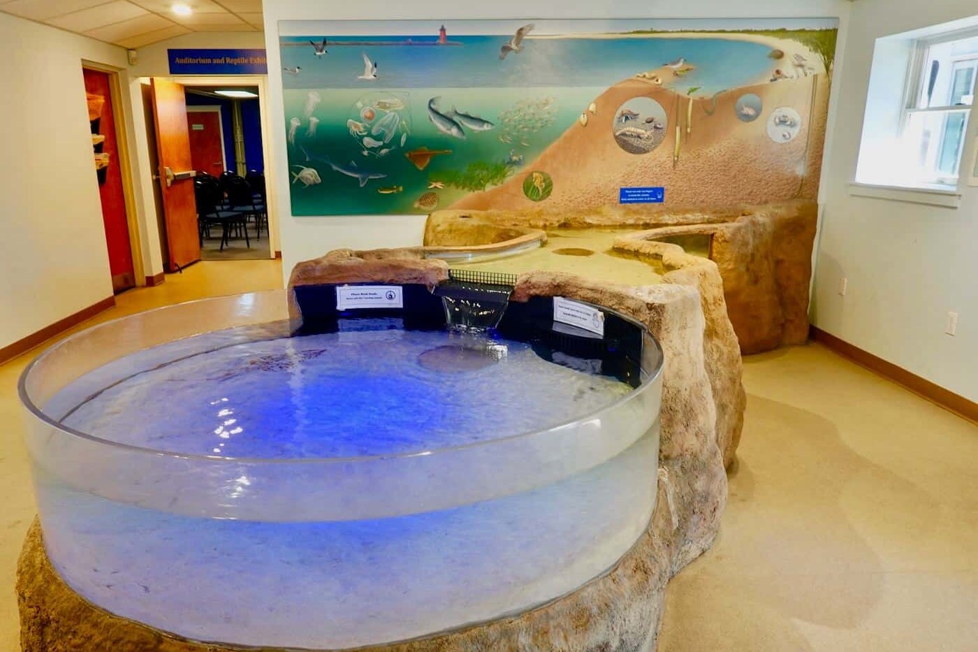 Touch tank at the Seaside Nature Center