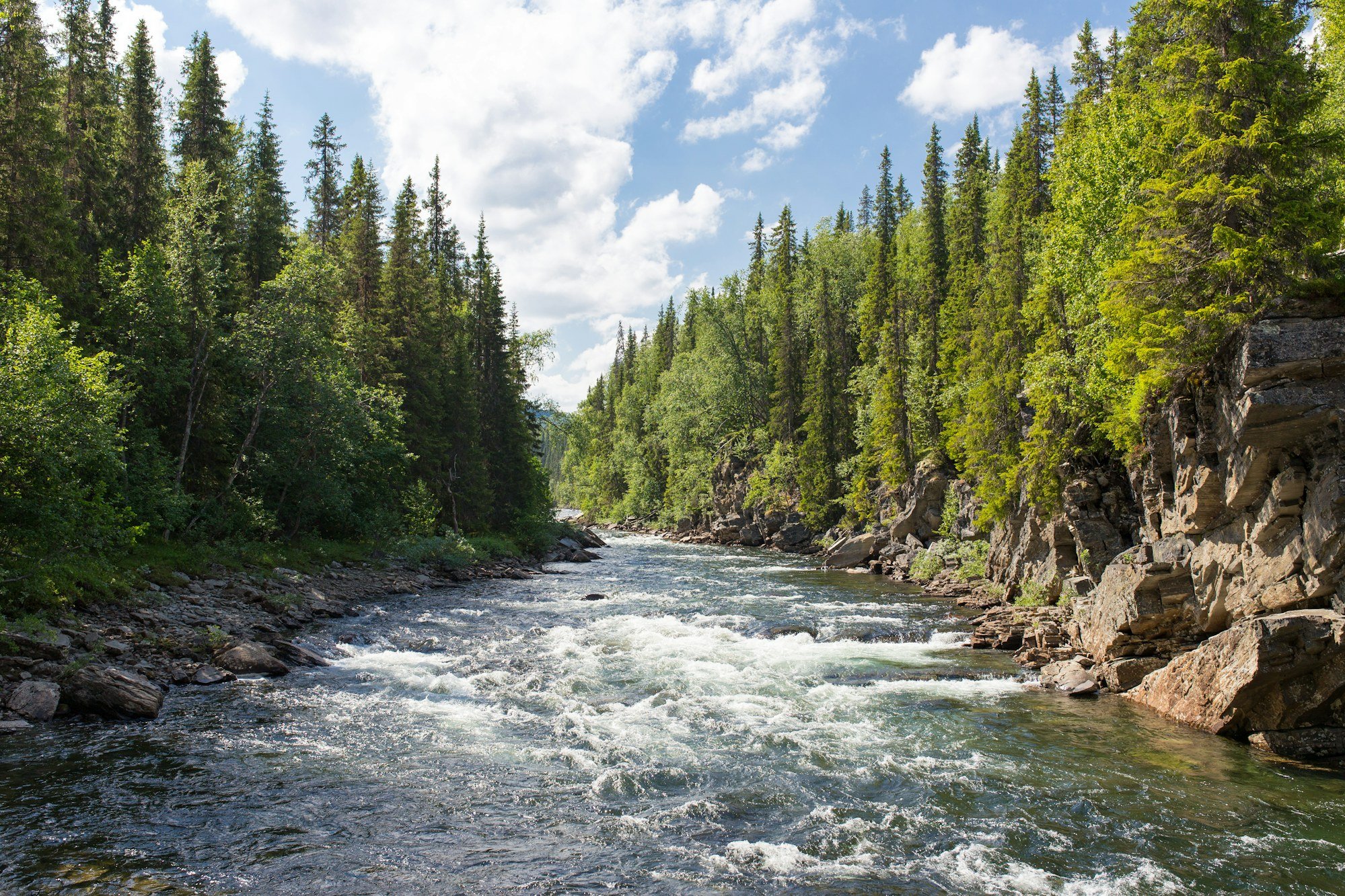 Teklanika River braided channels