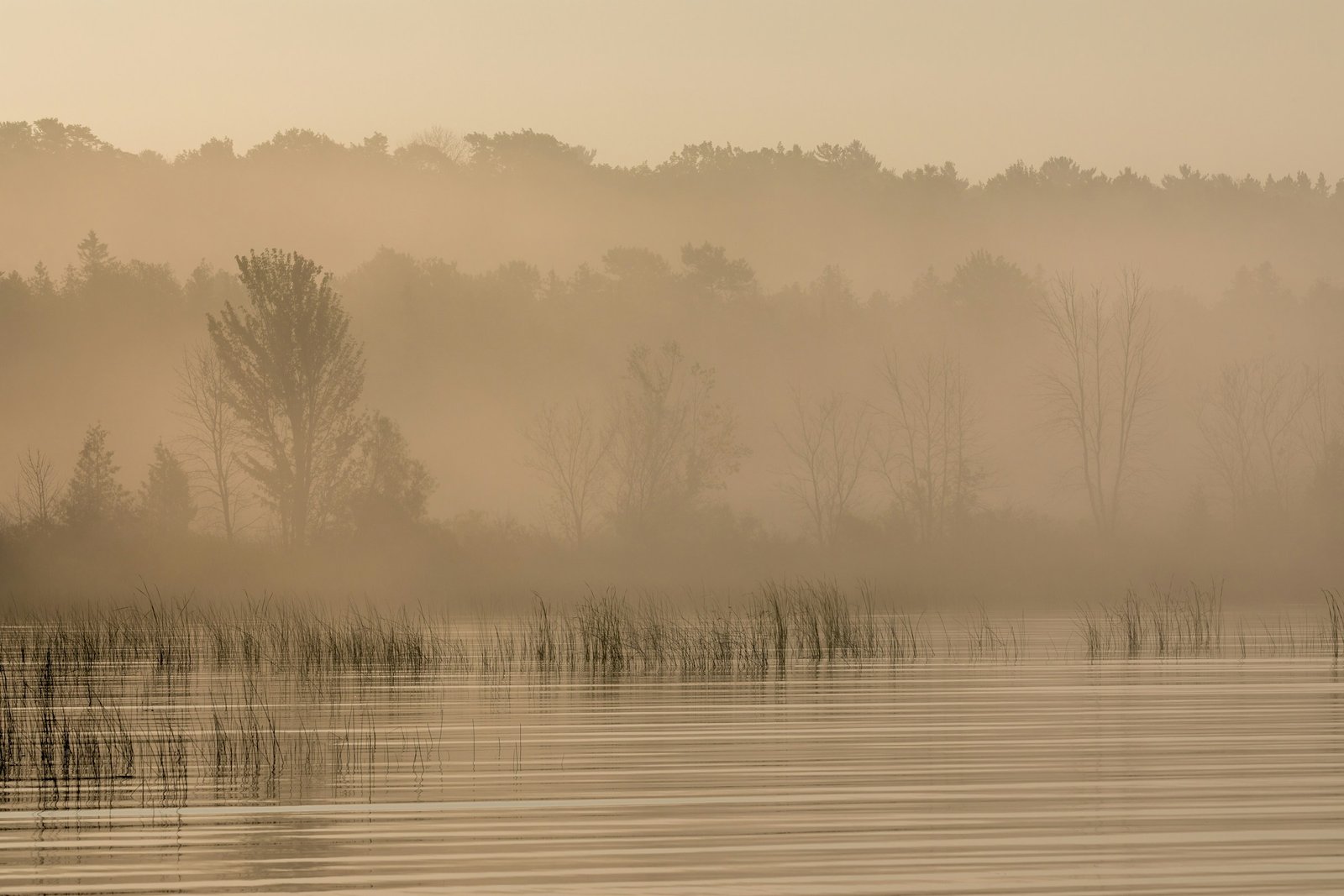A misty waterfront in Door County, Wisconsin