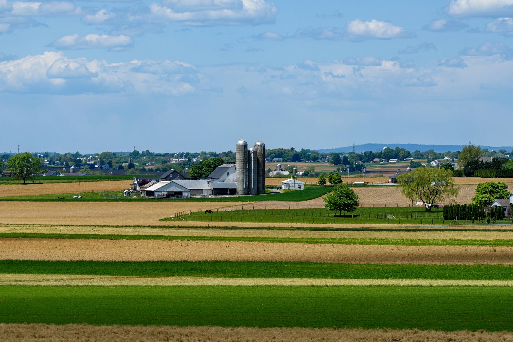 Amish farm fields in Lancaster County