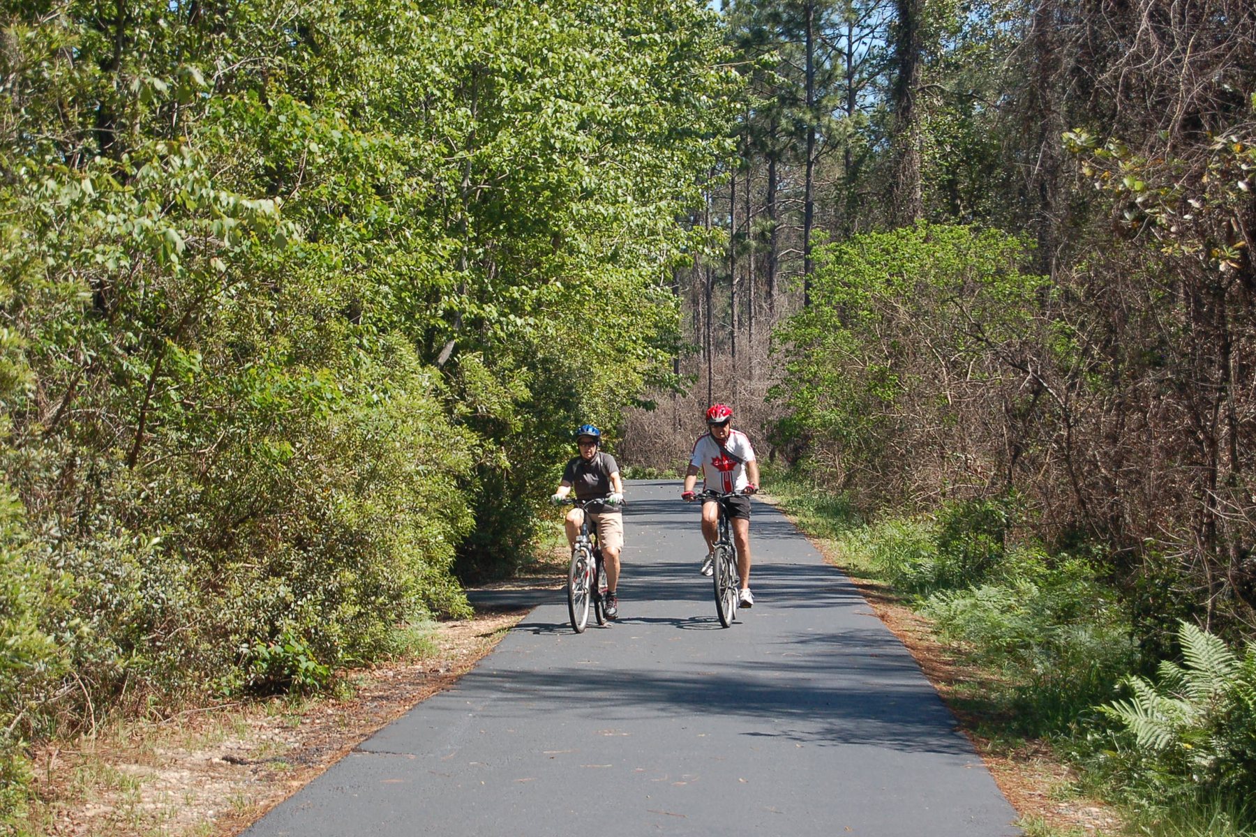 Backcountry Trail through Gulf State Park