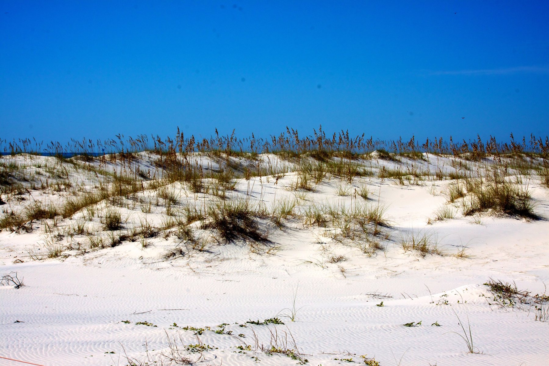 Bon Secour National Wildlife Refuge trail