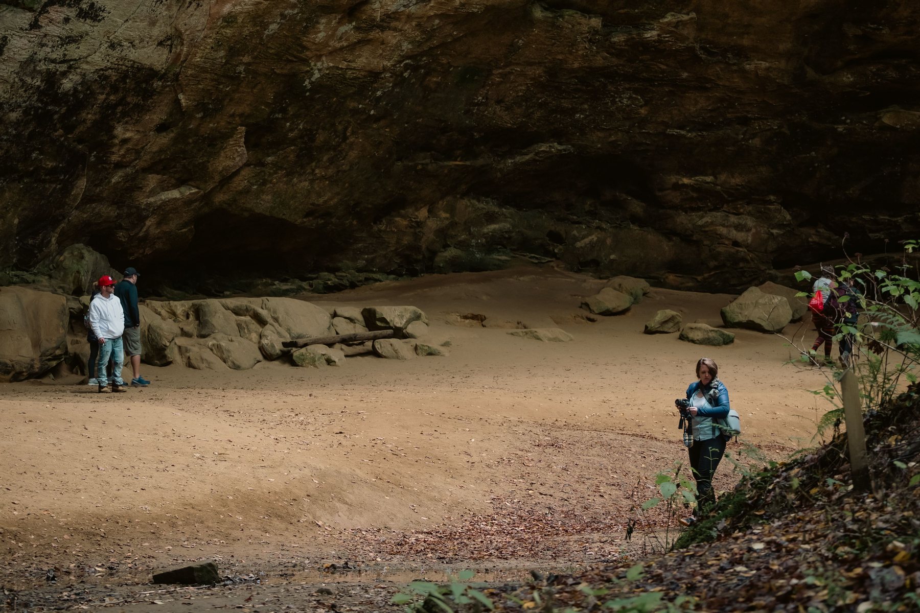 Large recess cave at Ash Cave