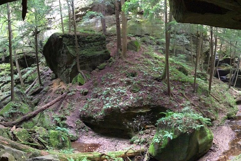 Narrow gorge at Conkles Hollow