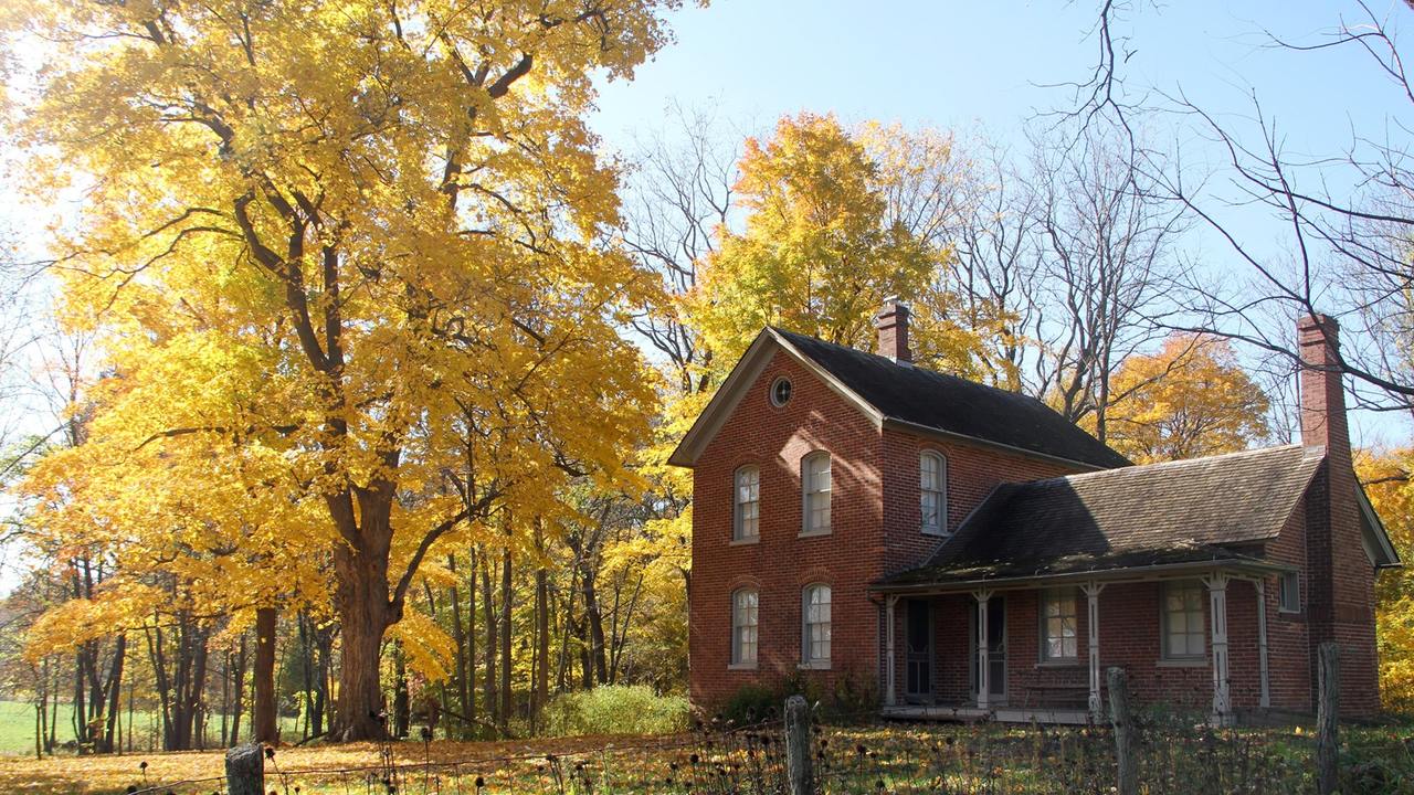 Fall color near Chellberg Farm
