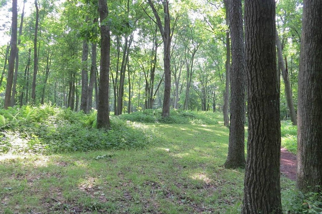 Wooded hilltop with effigy mounds