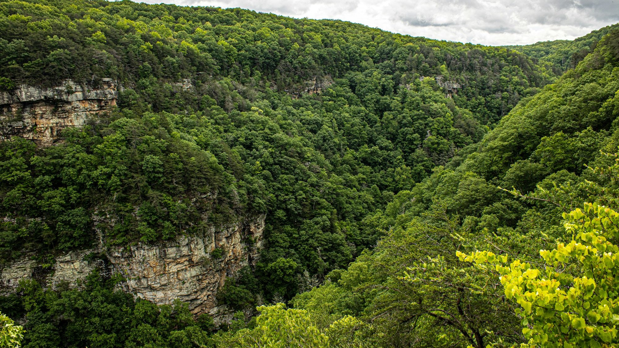 Kentucky forest and river near Mammoth Cave