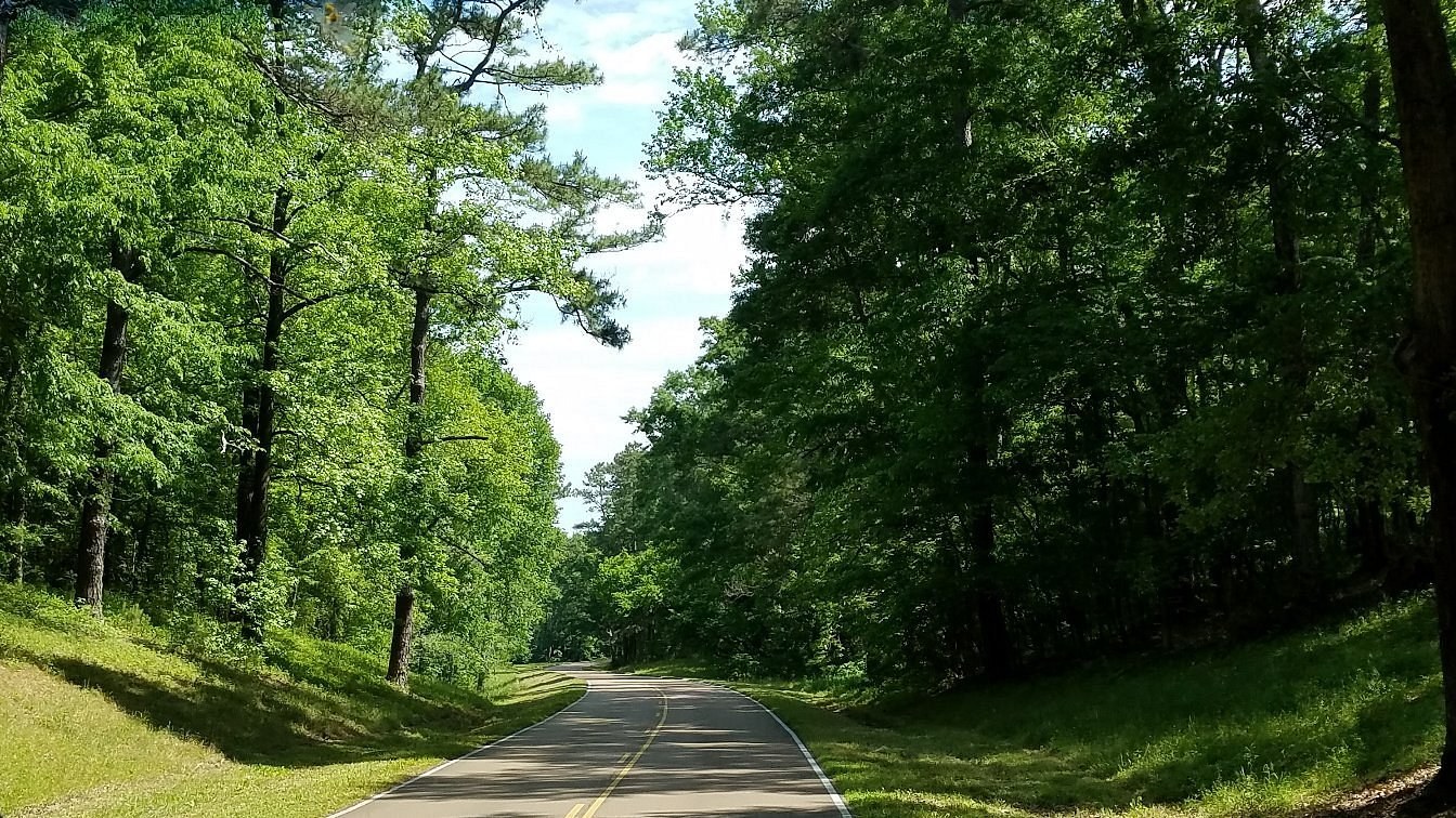 Tree-lined roadway on the Natchez Trace Parkway