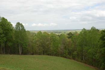 View from the Little Mountain summit