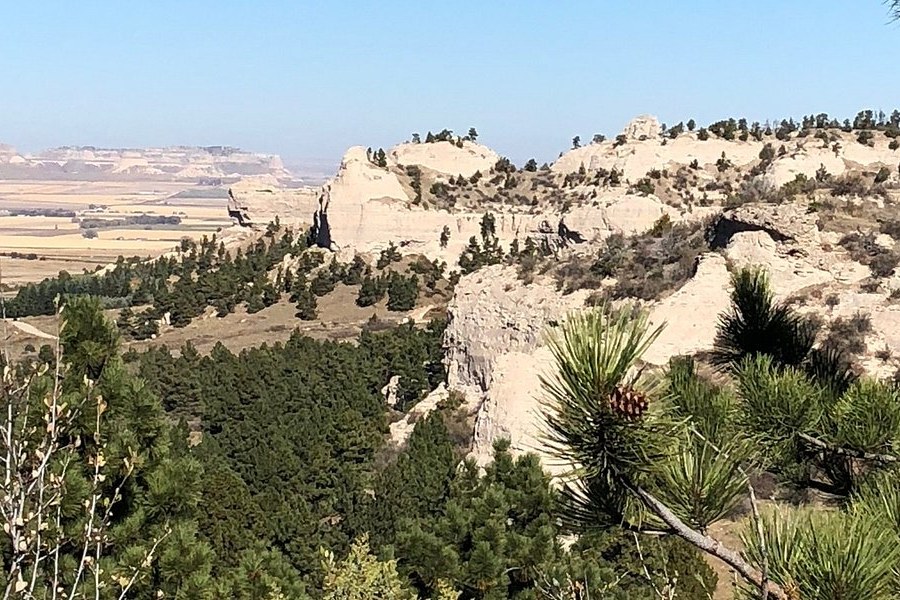 Pine-covered ridges at Wildcat Hills