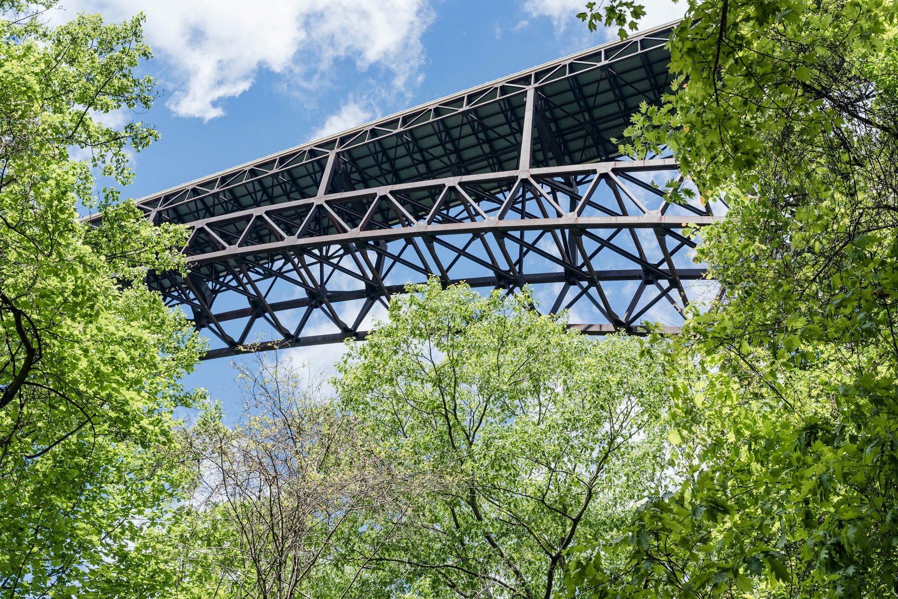 New River Gorge Bridge seen from Canyon Rim