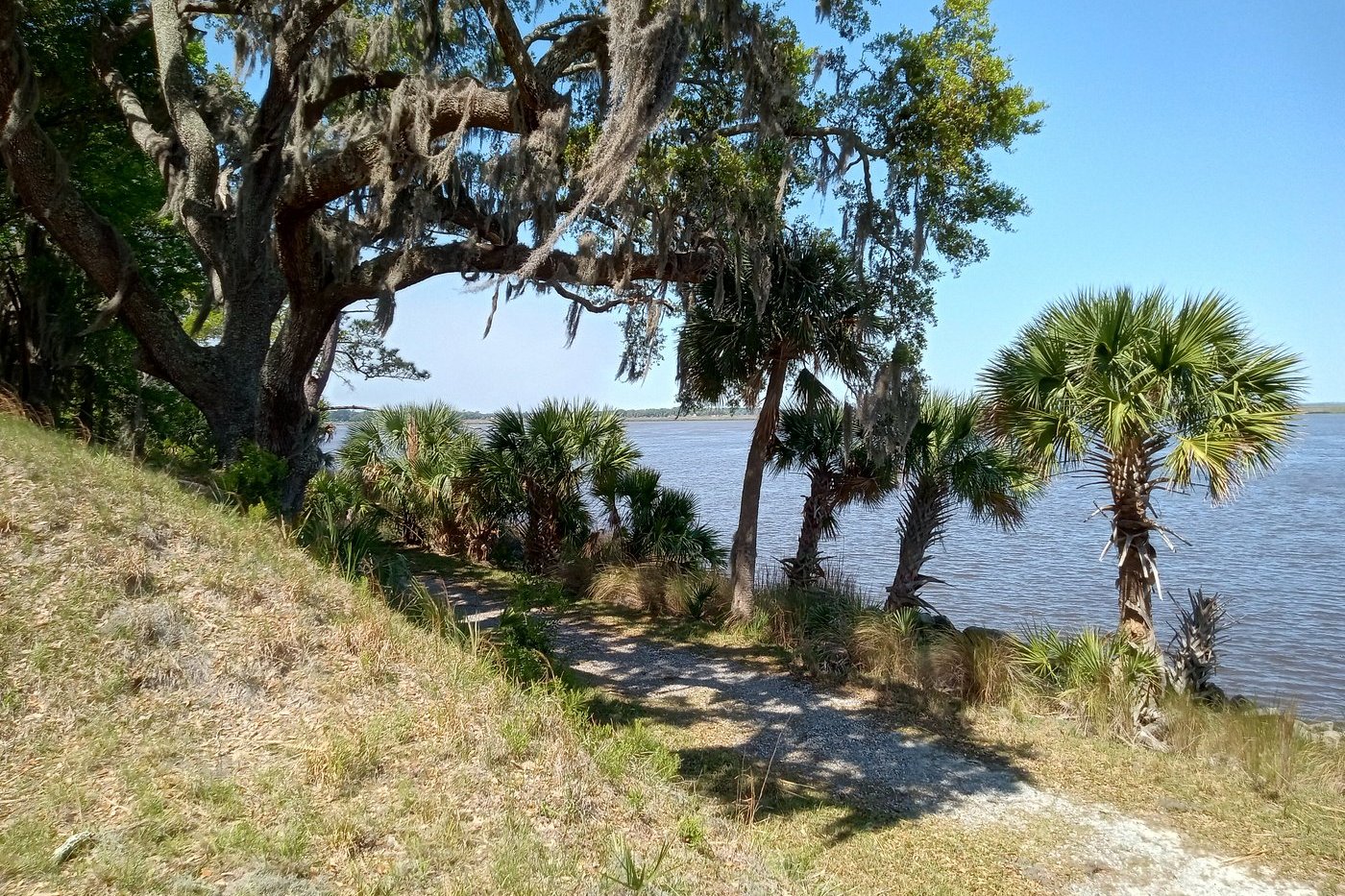 Fort McAllister earthworks