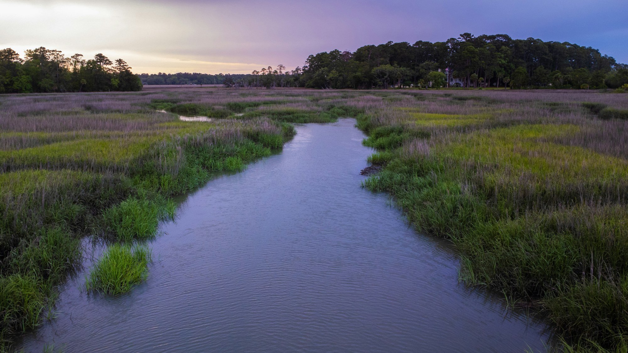 Georgia marsh and live oaks near Savannah