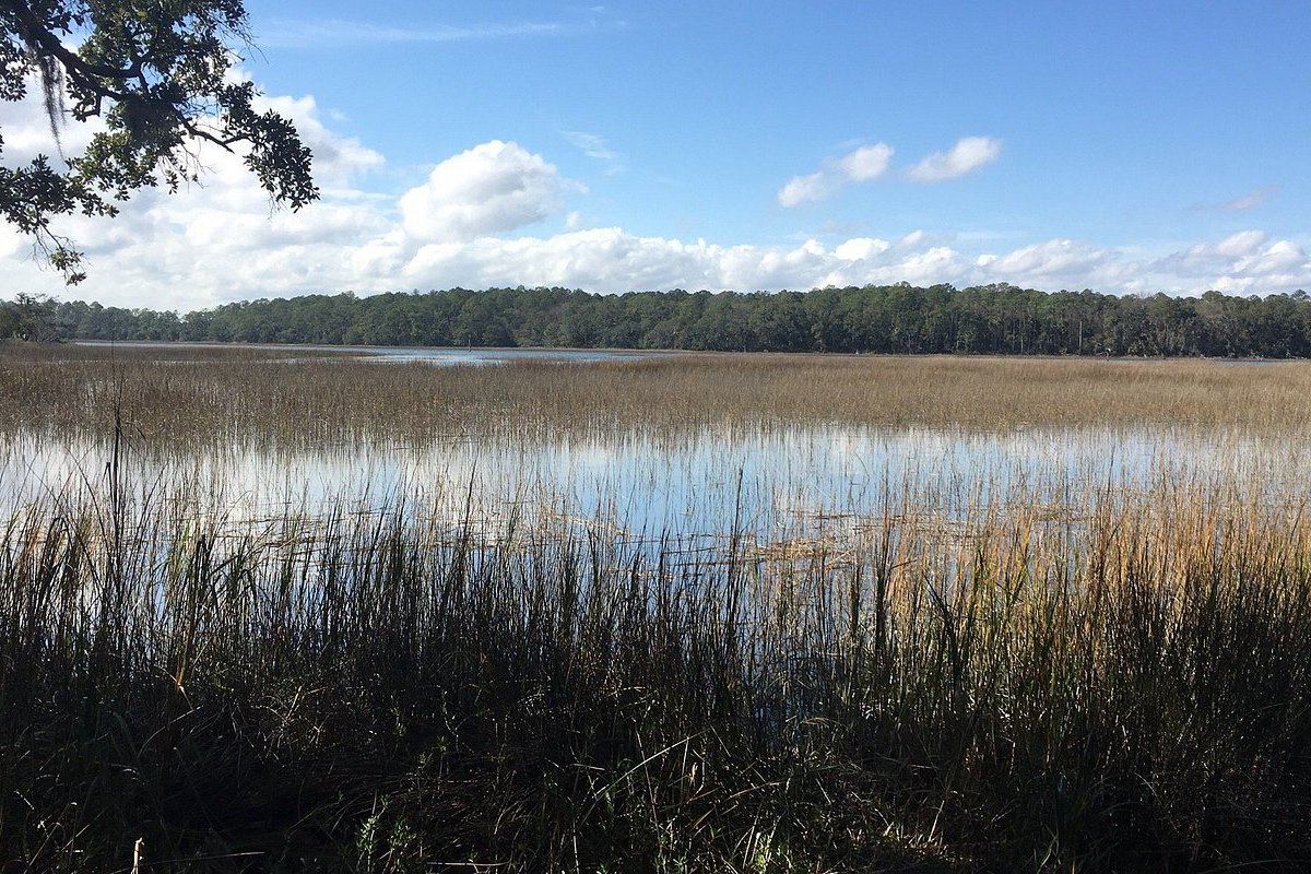 Marsh at Skidaway Island State Park