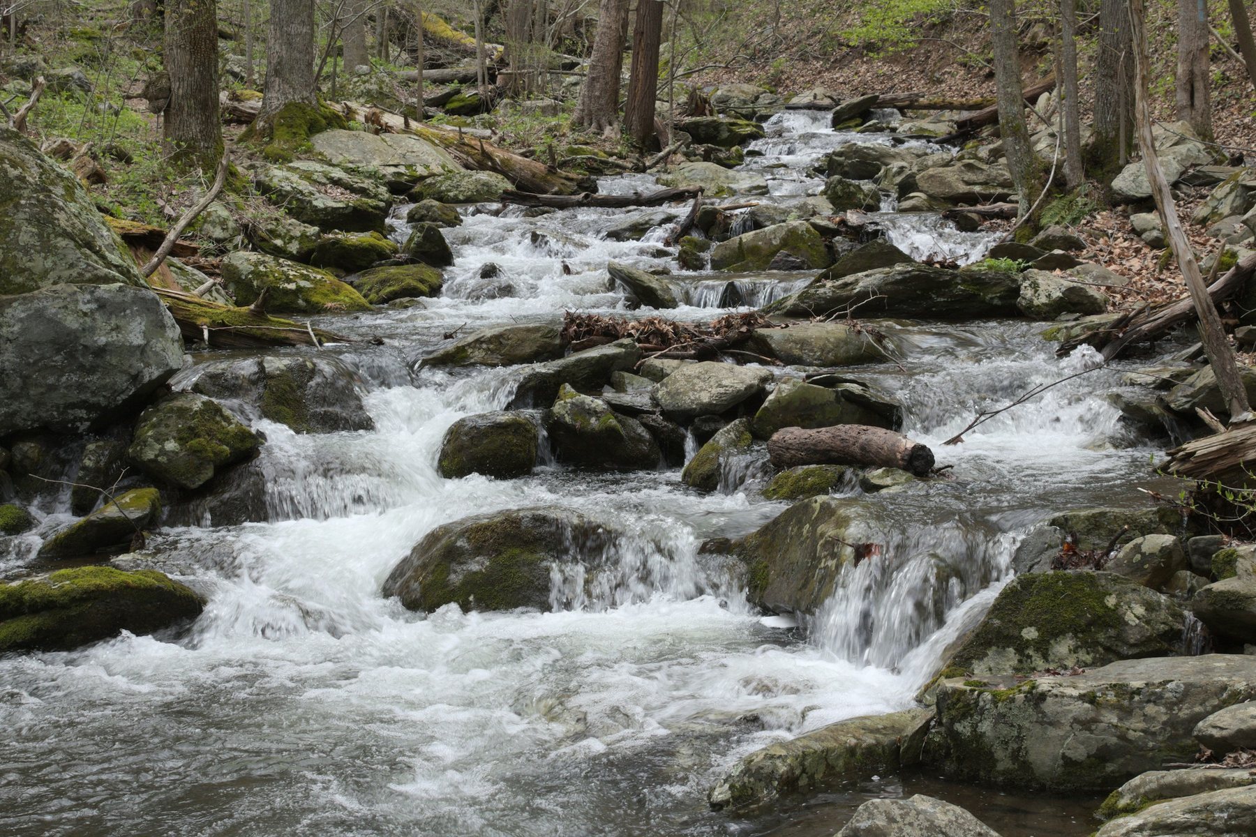 Dark Hollow Falls cascading over rocks in Shenandoah