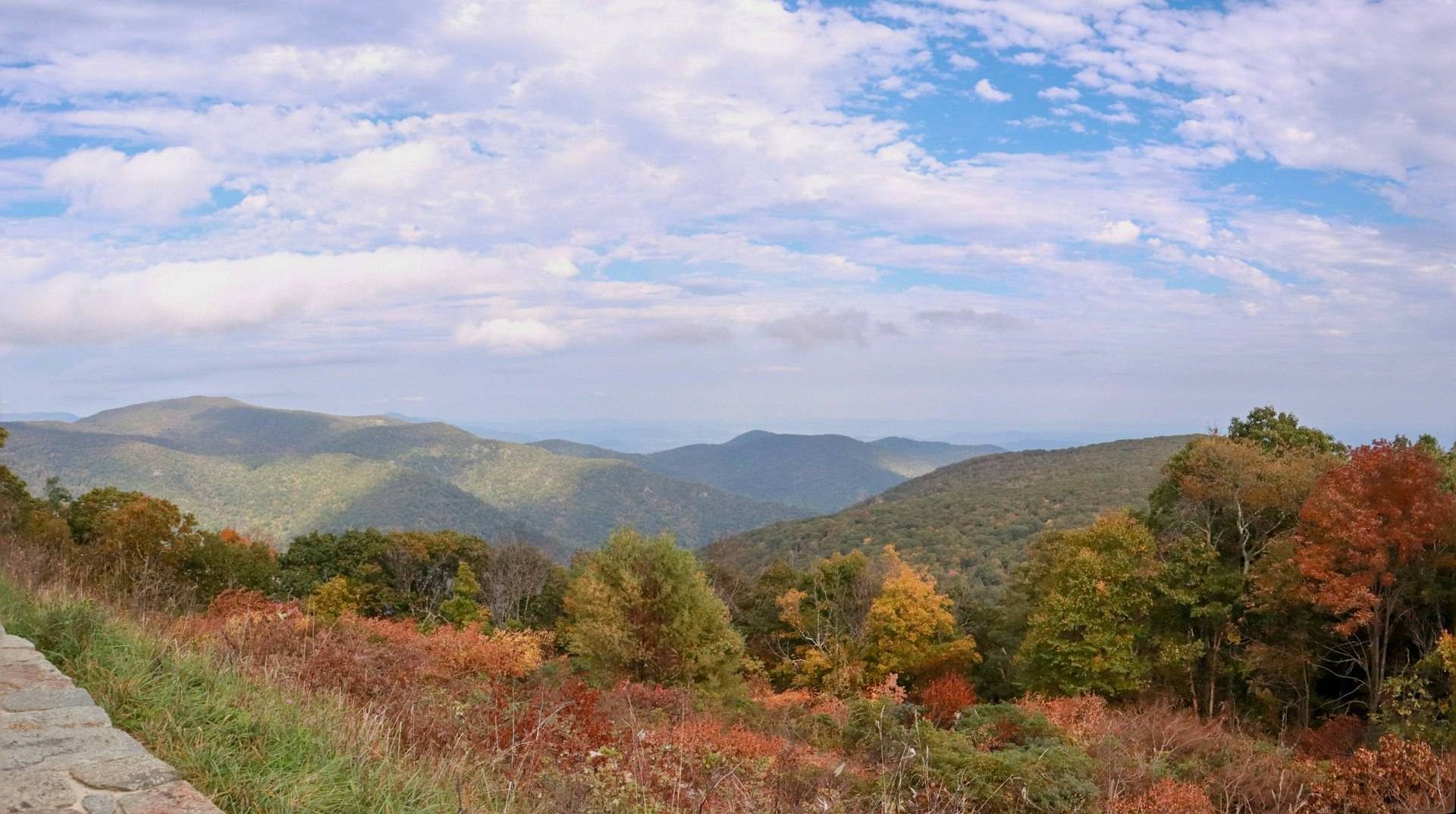 Autumn forest and ridges along Skyline Drive in Shenandoah National Park