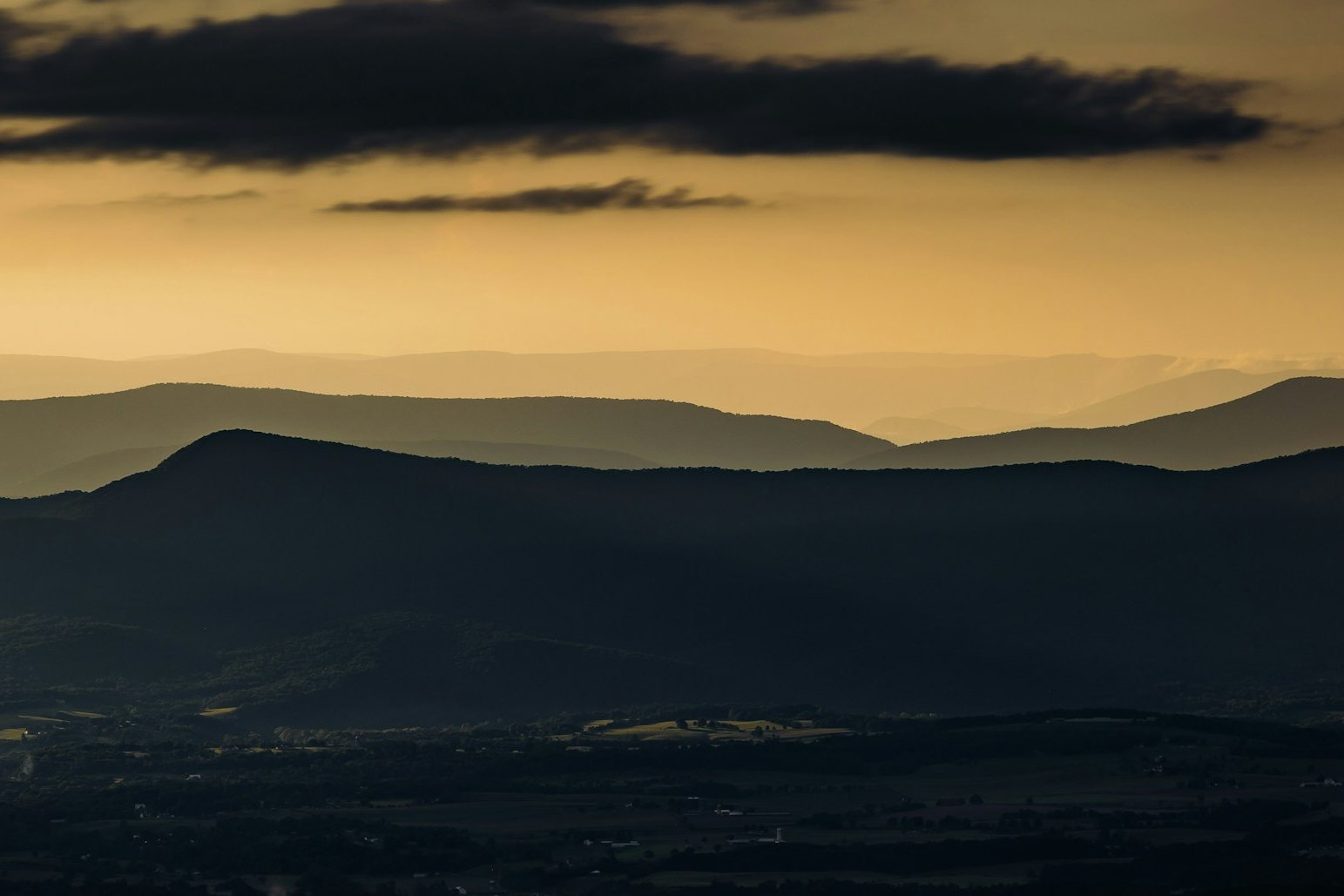 Layers of blue ridges seen from a Skyline Drive overlook
