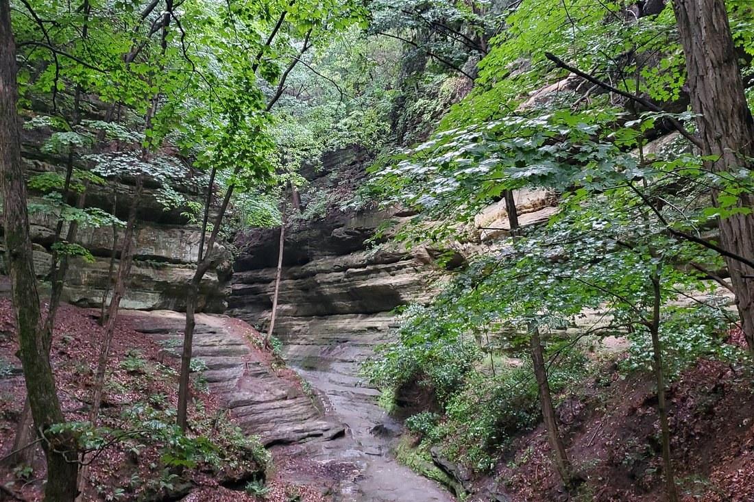 Narrow sandstone canyon with trail