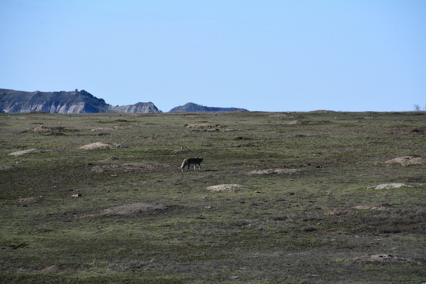 Backcountry in Theodore Roosevelt National Park