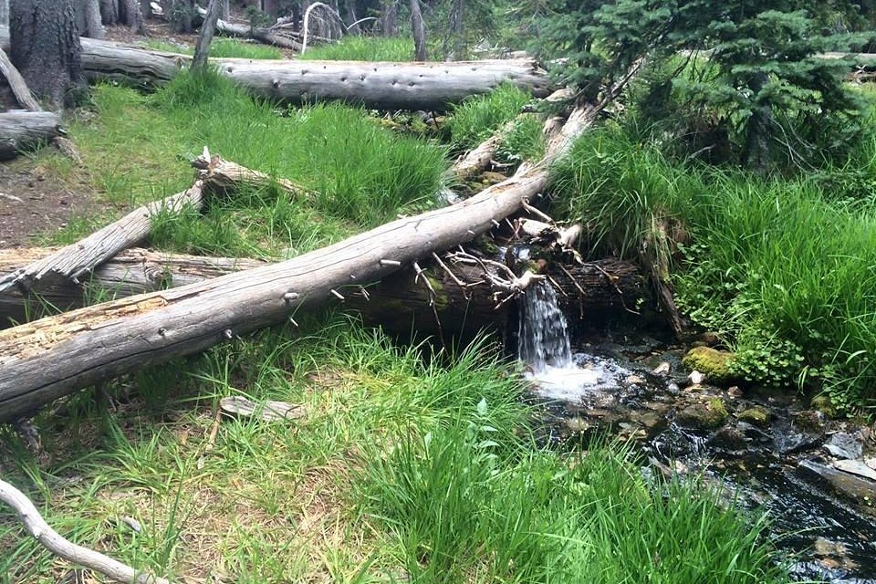 Creek and aspens in Great Basin National Park